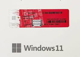 Licenza Microsoft Windows 11 Professional ITA 32/64bit COA - Stickers